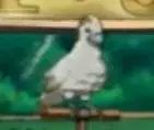 Aolani