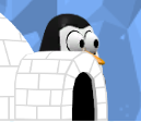 Pinguïn achter iglo