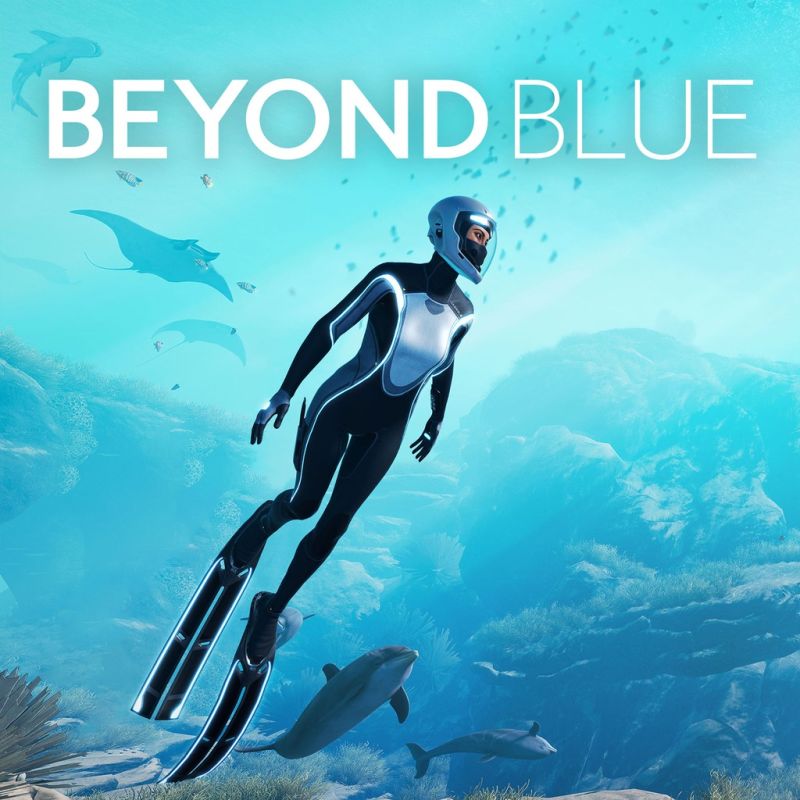 Beyond Blue Co