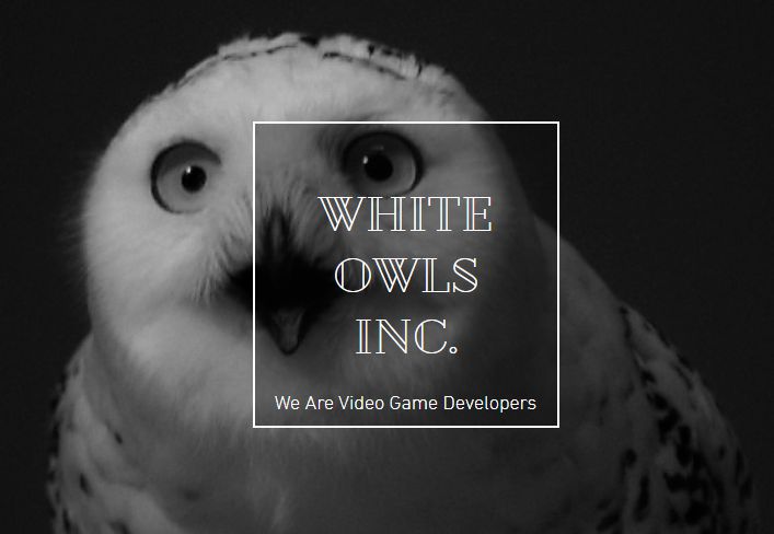 I-White Owls Inc.