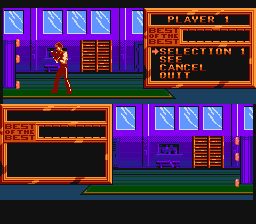 बेस्ट ऑफ़ द बेस्ट NES Screenshot2
