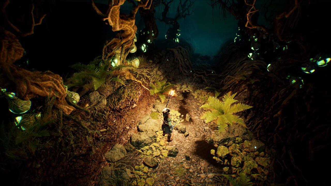 Brightfall8